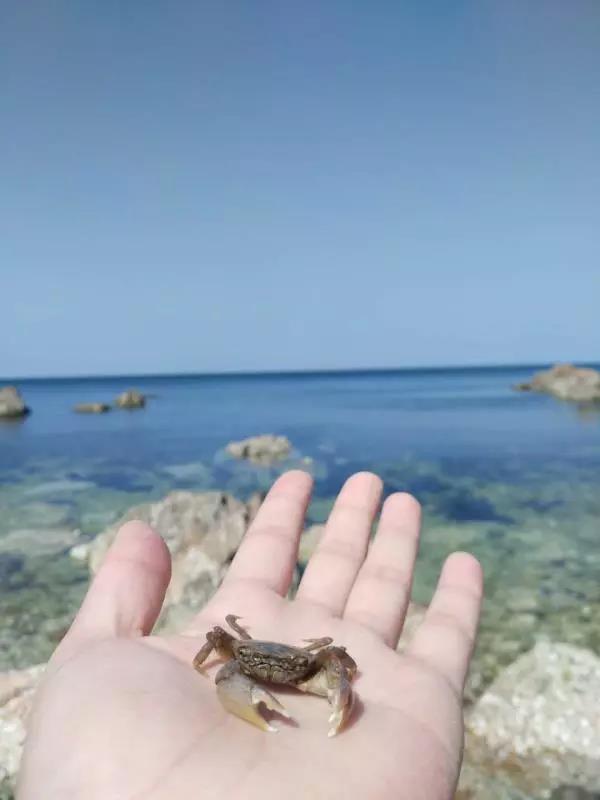 微信圖片_20180704171458.jpg